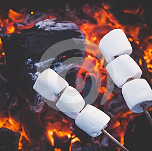 Set of sweet marshmallows roasting over red fire flames. Marshmallow on skewers roasted on charcoals