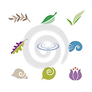 Set of symbols leaf, shell, flower and ripple