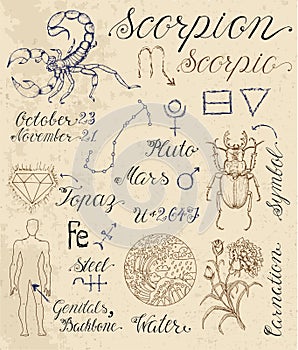 Set of symbols for zodiac sign Scorpion or Scorpio
