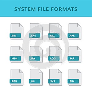 Set of system File Formats and Labels in flat icons style. Vector illustration