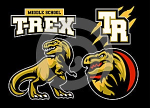 Set of T-rex Dinosaur Mascot College