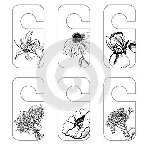 Set tags with graphic sketch of summer flowers iris, sedum, papaver, hemerocallis, echinacea, eupatorium.