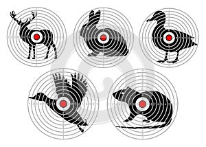 Set targets for animal shooting. Training hunting. vector