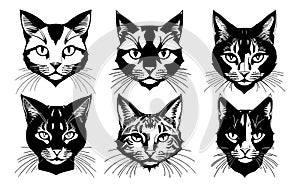 Set of tattoos or logos in the form of cat heads