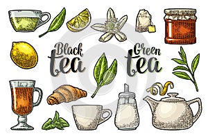 Set tea with lettering. Vector vintage engraving
