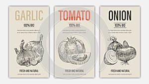 Set of template for branding, cover package, banner, card, label with garlic, tomato and onion in retro vintage hand drawn or