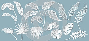 Set template for cutting. Palm leaves pattern. Laser cut. Vector illustration photo