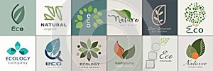 Set template design logos with leaves for business company. for spa - products or ecology concept