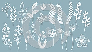 Set template for laser cutting and Plotter. Flowers, leaves for decoration. Vector illustration. Sticker set. plotter and screen