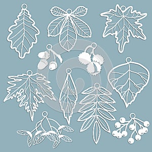 Set template for laser cutting and Plotter. Leaves Oak, maple, Rowan, chestnut, berries, acorn, seeds, birch, ash in the form of