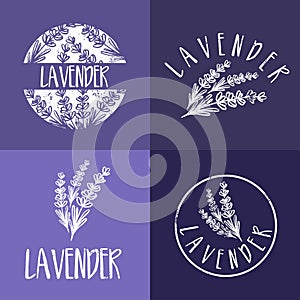Set of template logo design of abstract icon lavender.