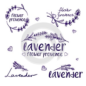 Set of template logo design of abstract icon lavender.
