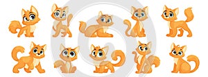 A set of ten cute orange kittens with blue eyes in different poses. A small cute cat with a charming look poses. Vector