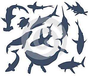 Set of ten fish, inhabitants of the underwater world