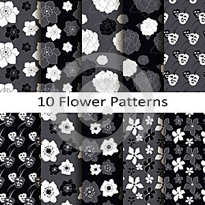 Set of ten flower patterns