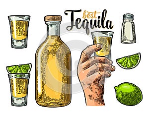 Set tequila. Hand hold glass, bottle, salt, lime whole and slice. photo