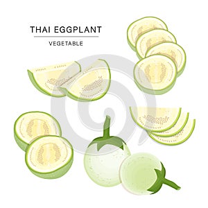 Set of Thai Eggplant Vegetable Slices. Organic and healthy food isolated element Vector illustration.