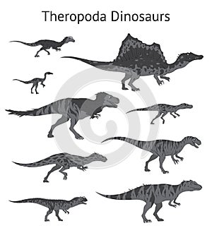 Set of theropoda dinosaurs. Monochrome vector illustration of dinosaurs isolated on white background. Side view