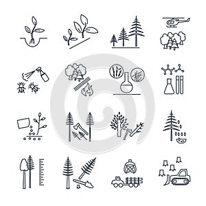 Set of thin line icons forestry and silviculture