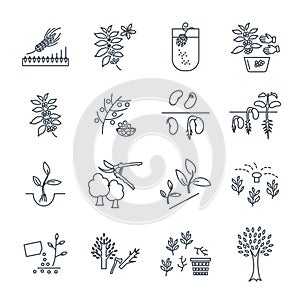 Set of thin line icons plant, herb, grower, coffee, beans