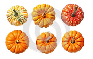 Set of thre pumpkins