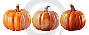 Set of thre pumpkins
