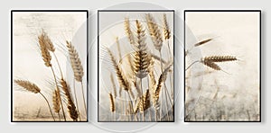 A set of three abstract creative hand-painted golden wheat ears art illustrations