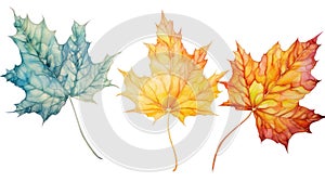 Set of Three Abstract Watercolor Sycamore Leaf Vei AI Generated