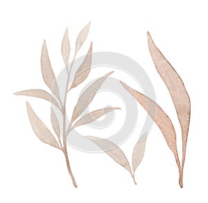 set of three autumn yellowed twigs photo