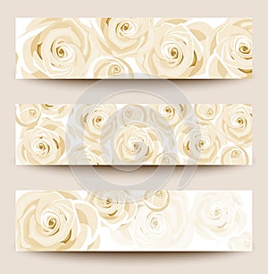 vector set of three banners with white roses.