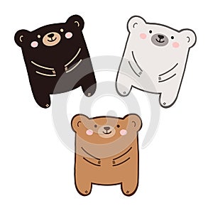 Set of three bears of color. Inclusivity concept for children in cute animals. Black, brown, and white bear together