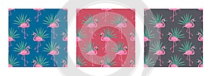 Set of three Beautiful seamless vector tropical pattern with flamingo bird and palm leaves. Tropical summer texture. Elegant templ