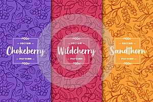 Set of three berries patterns. Chokeberry, Wild cherry, Sandthorn. Flat vector illustration