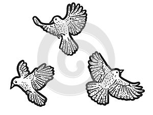 Set, three birds are flying. Engraving vector illustration. Sketch scratch board imitation.