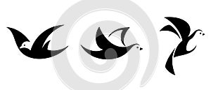 Set of three black silhouettes of flying birds. Vector illustration.