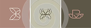 Set of three butterfly vector logos. Linear monogram logo.