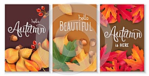 Set of three cards with leaves, acorns and berries. Autumnal thematics. Beautiful season