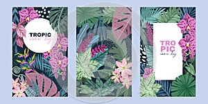 Set of three cards with tropical leaves