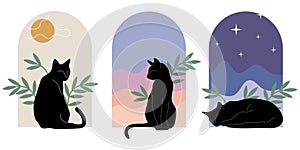 Set of three cats at day, evening, night boho style. Bohemian minimal abstract organic shapes, arch. Cat routine