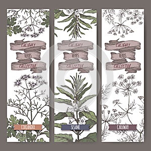 Set of three color vector banners with coriander, sesame, caraway sketch. Culinary herbs collection.