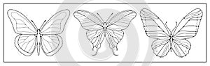 A set of three contours of butterflies on a white background