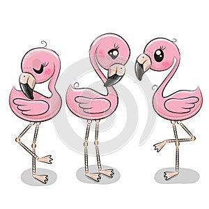 Set of three cute cartoon flamingos