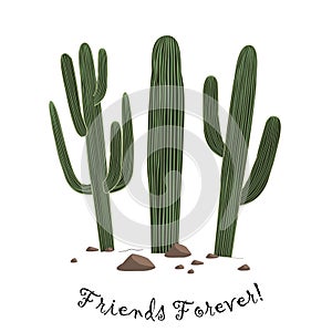 Set of three cute cartoon Saguaro cactus . Friends forever text.