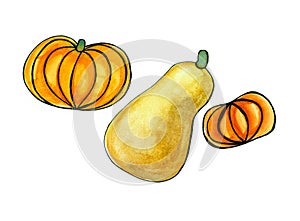 Set of three different pumpkins on a white background. Watercolor and black outline. Ocher and orange colors.