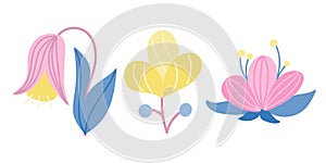 Set of three flowers in pink and blue with yellow on a white background. Vector illustration in a flat style. Icons, elements for