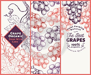Set of three grape banners. Grape berry frame template. Hand drawn vector fruit illustration. Engraved style vintage