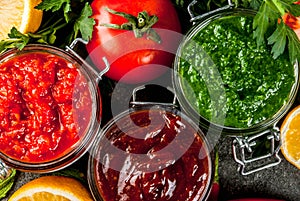 Set of three indian chutney photo