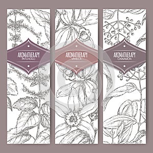 Set of three labels with patchouli, vanilla and cinnamon.