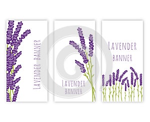 Set of three lavender banners
