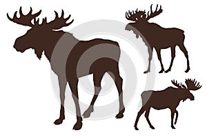 Set of three moose silhouettes